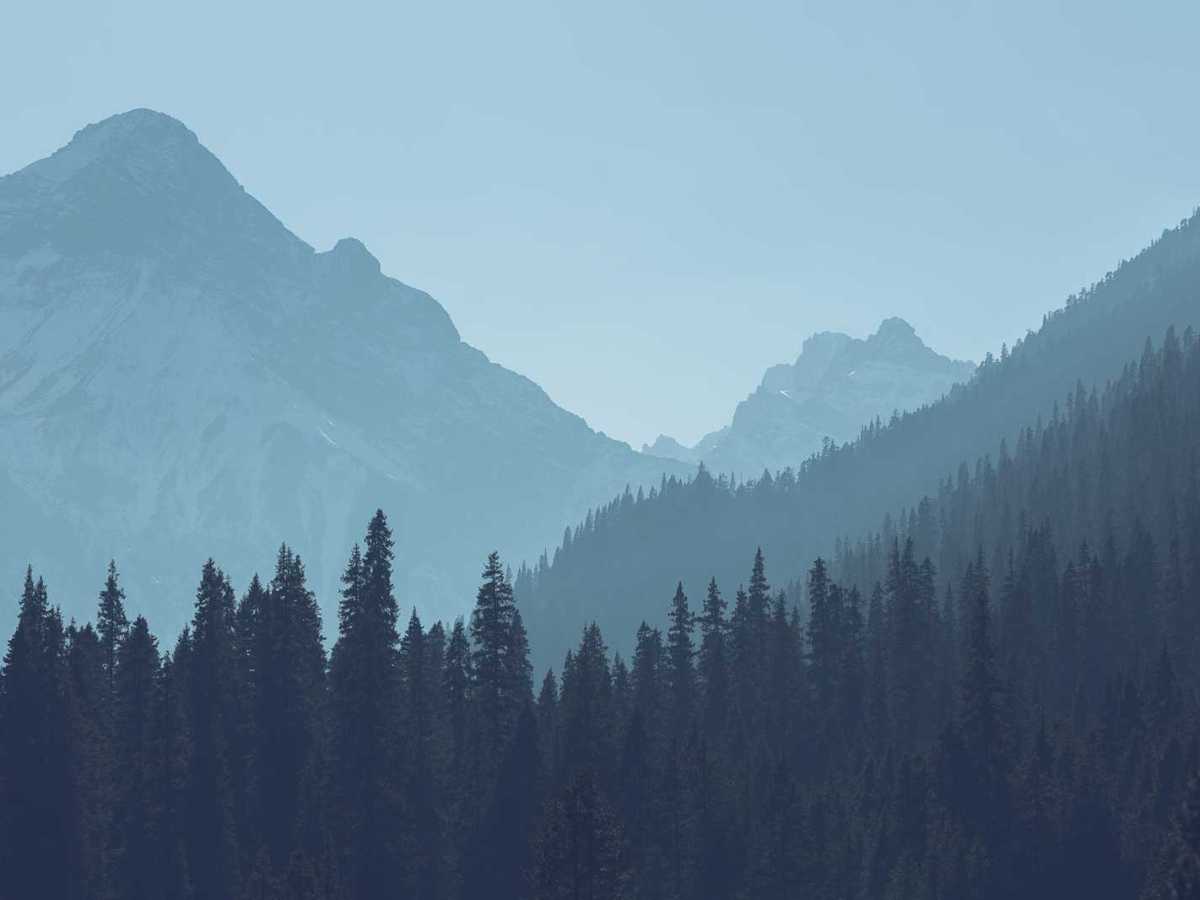 Cytotec tegucigalpa y san pedro sula honduras&nbsp;87428591